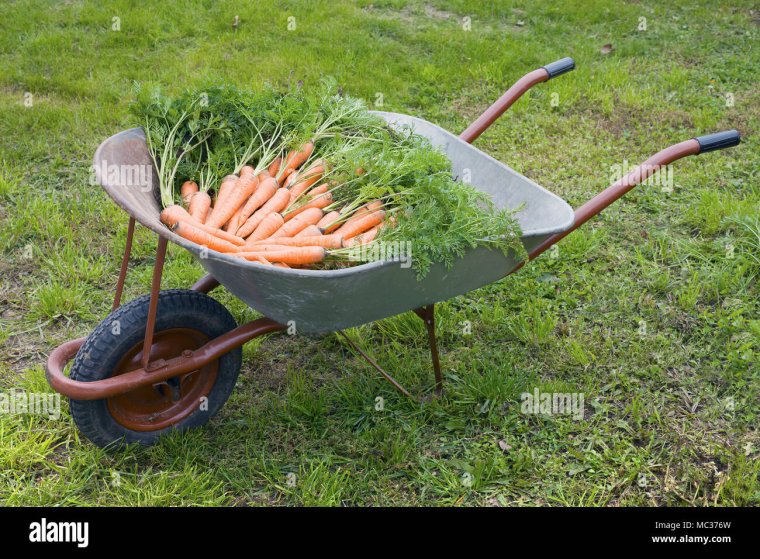 Морковка тачка