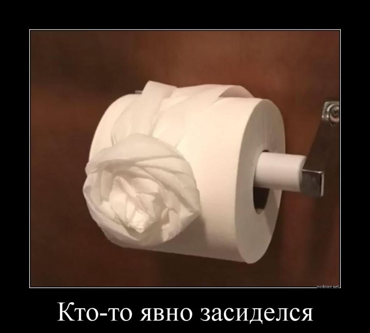 Туалетная бумага прикол
