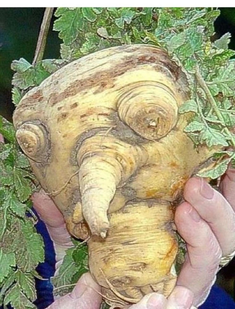 Необычные овощи