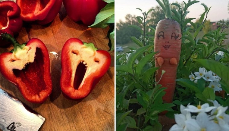 Приколы с фруктами и овощами