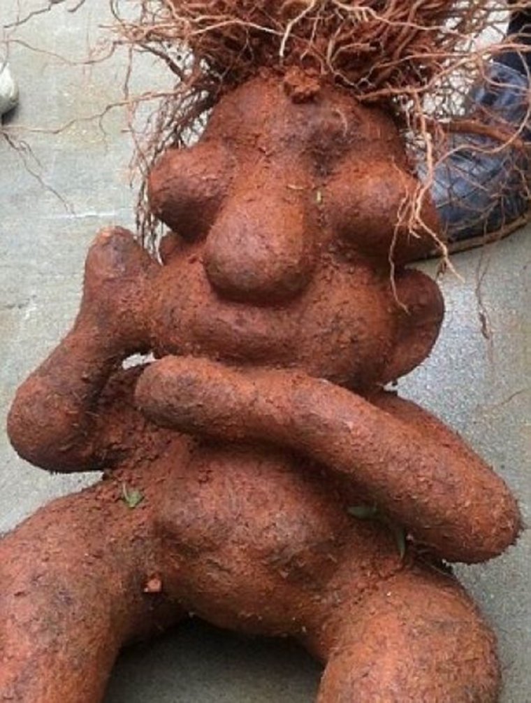 Смешные формы овощей и фруктов