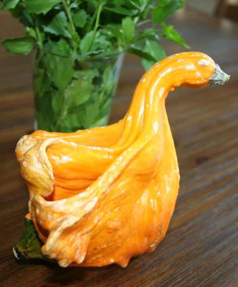 Необычные формы овощей и фруктов