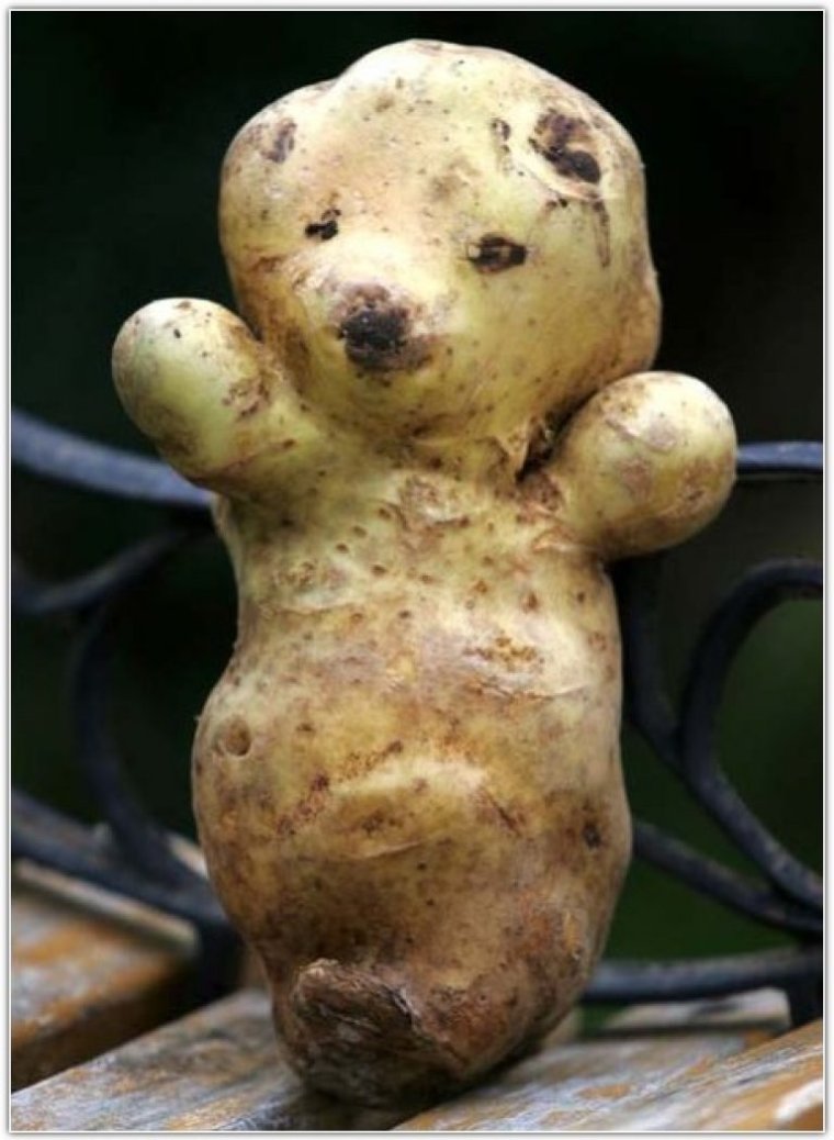 Смешные овощи