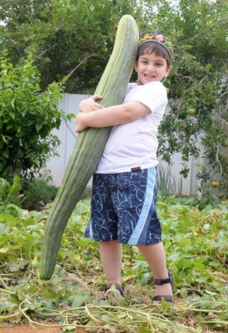 Необычный урожай