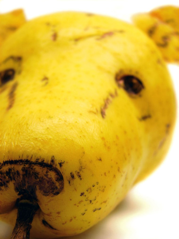 Прикольные фрукты