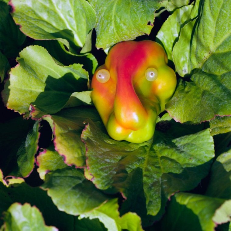 Необычные формы овощей и фруктов