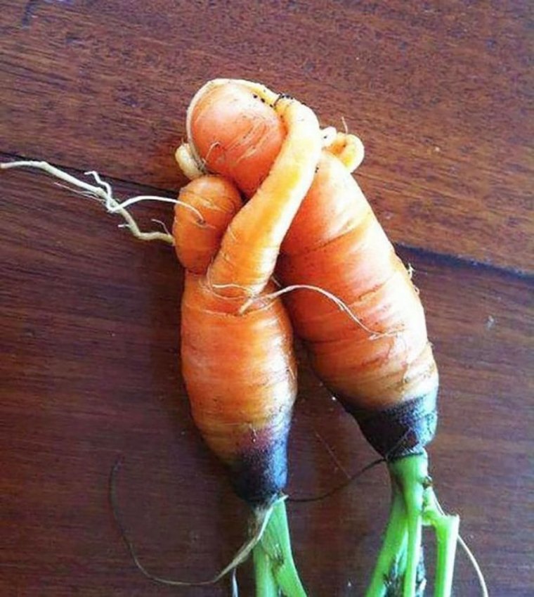 Смешные овощи