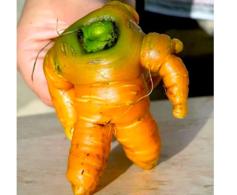 Смешные овощи в виде жениха