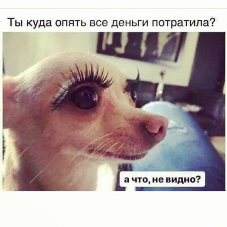 Большие ресницы прикол