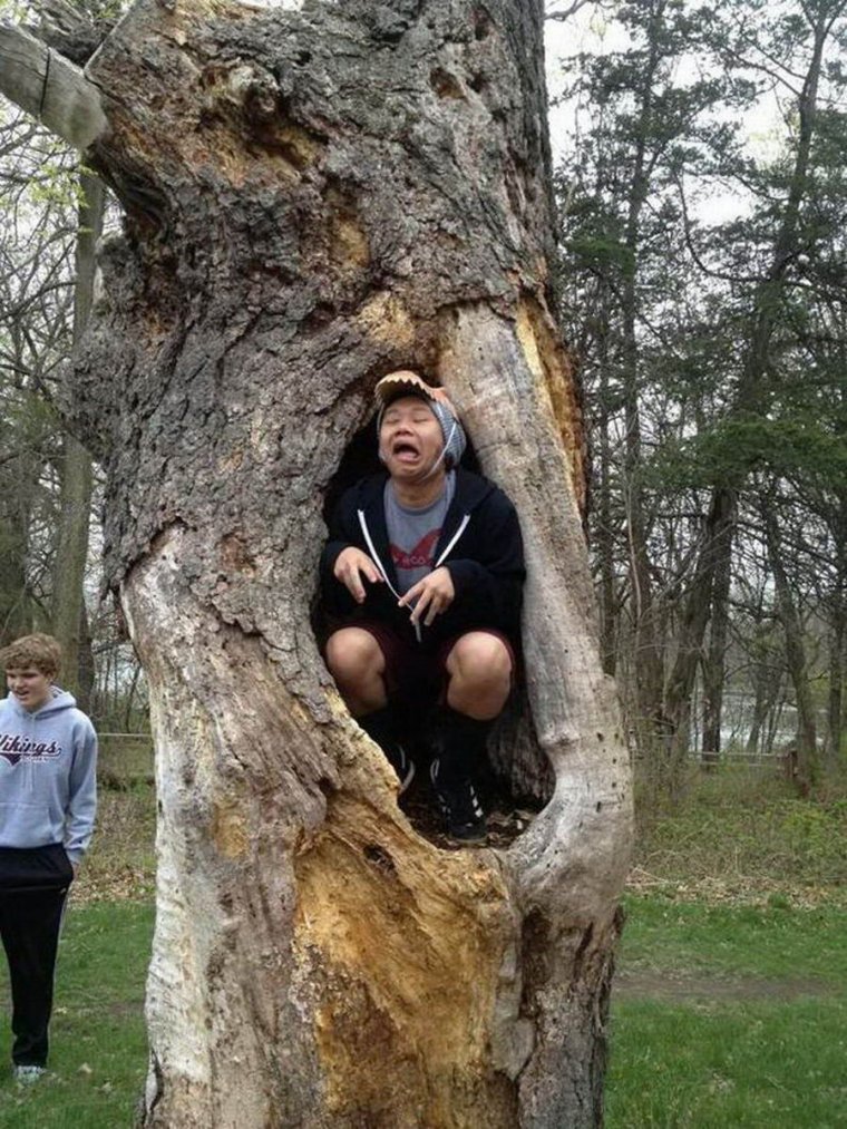 Чудаки в социальных сетях