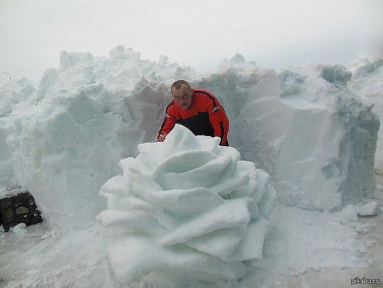 Цветы из снега