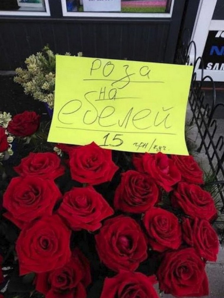 Розы прикольные