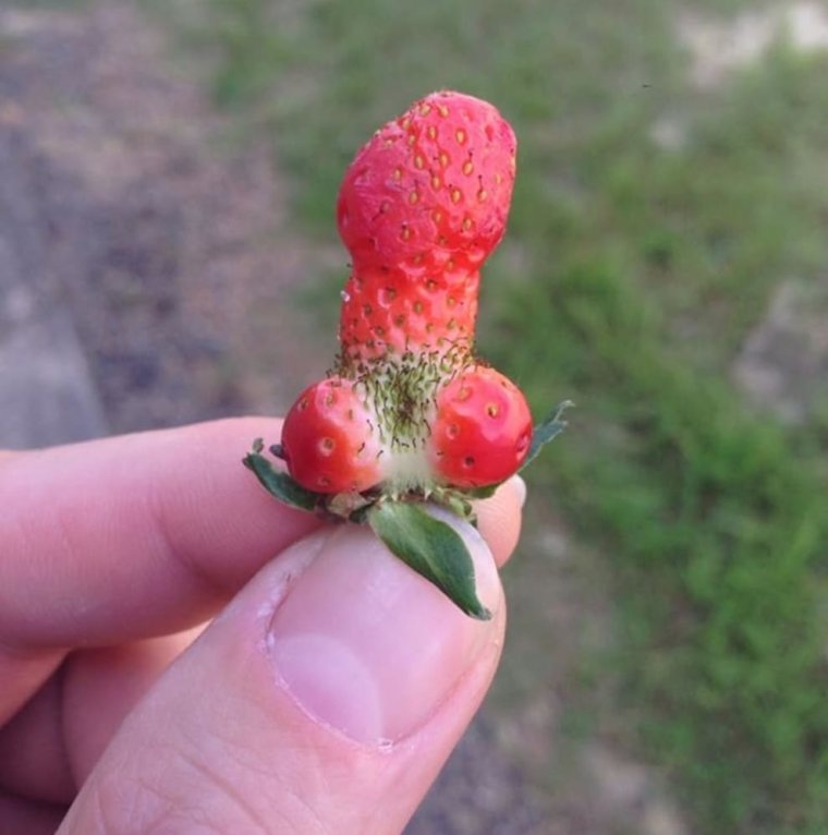 Фрукты в виде члена