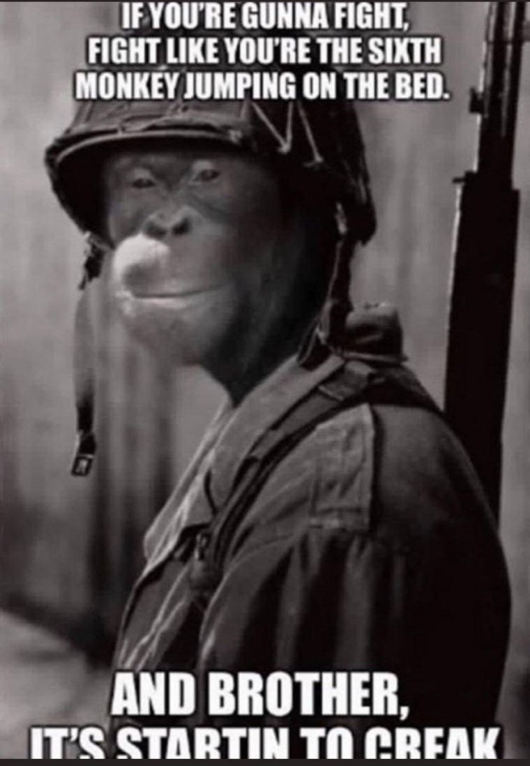 Волчек Роман Сергеевич