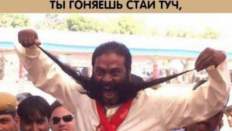 Смешные фото директора