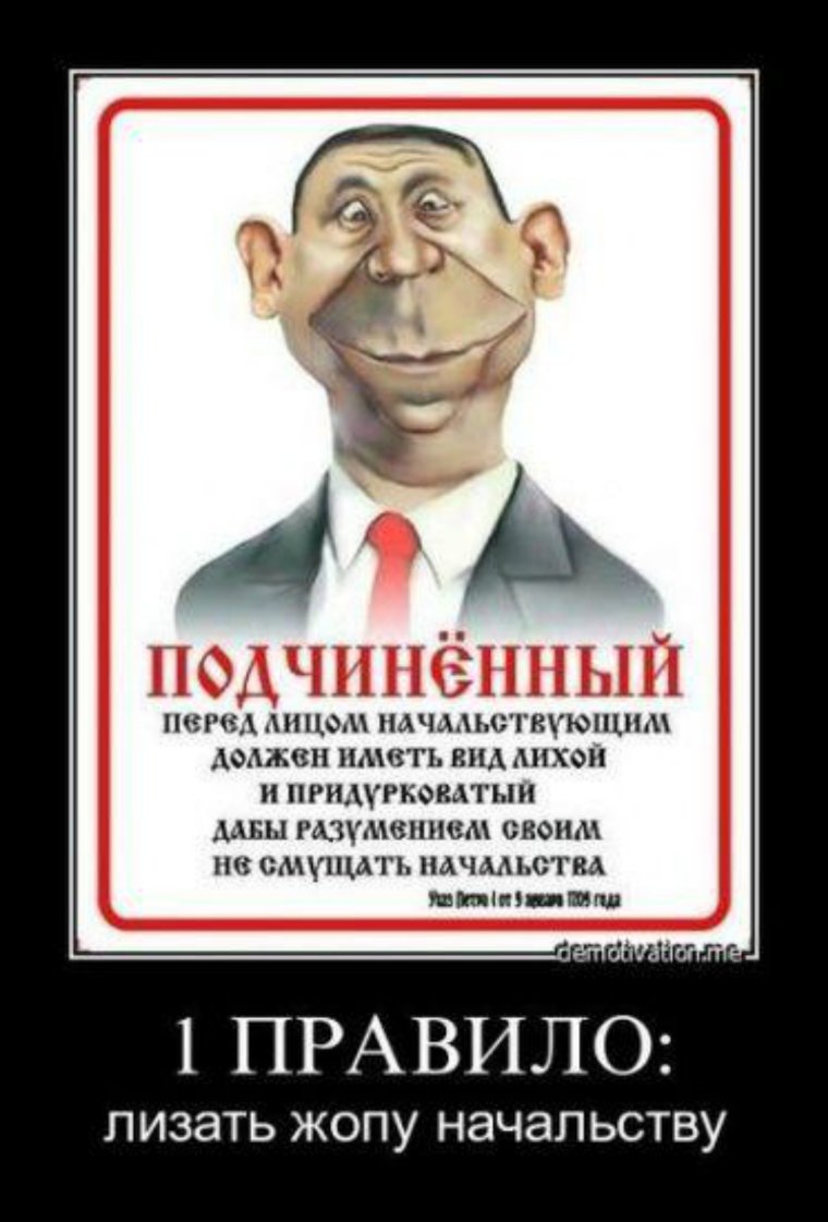 Приколы про начальство