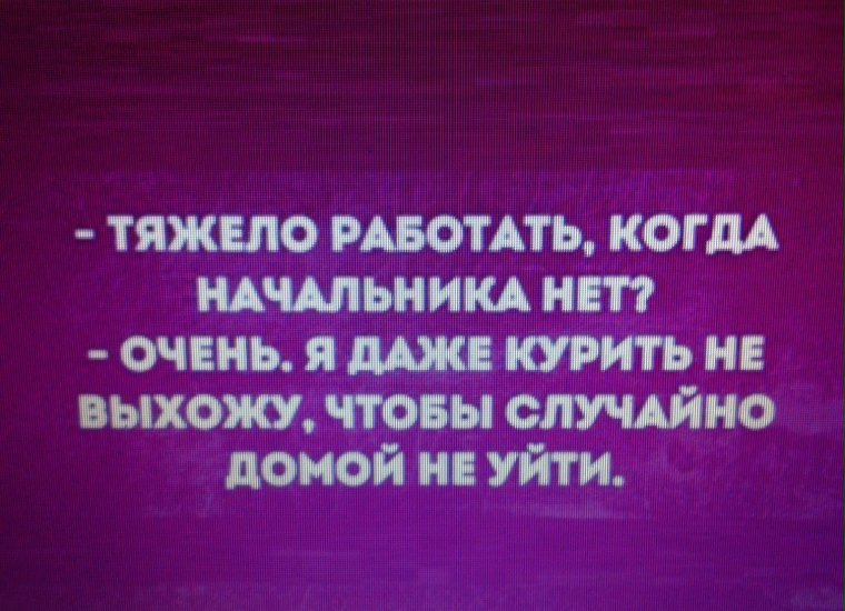 Приколы про начальника