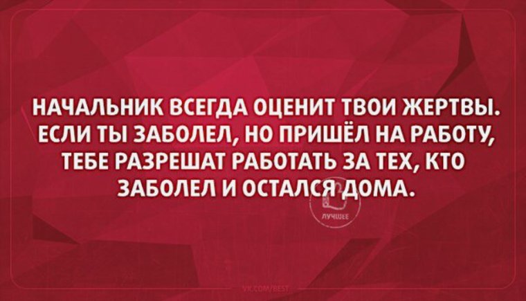 Хороший начальник афоризмы