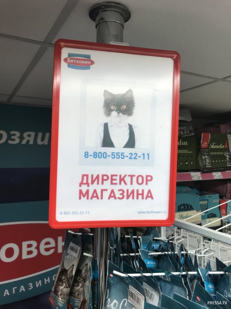 Директор магазина прикол