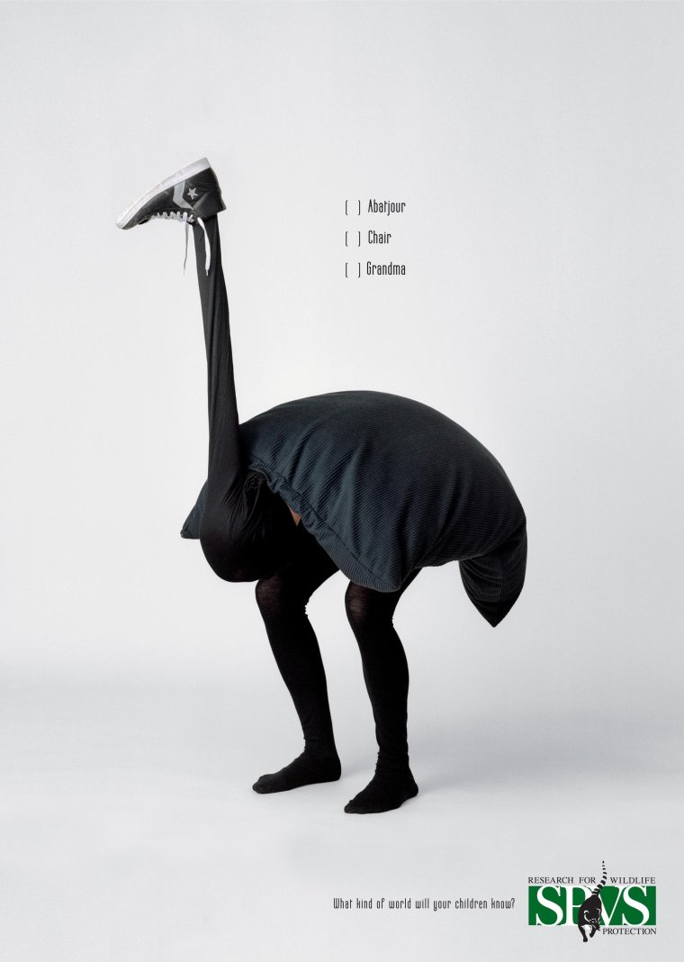 Директор демотиватор