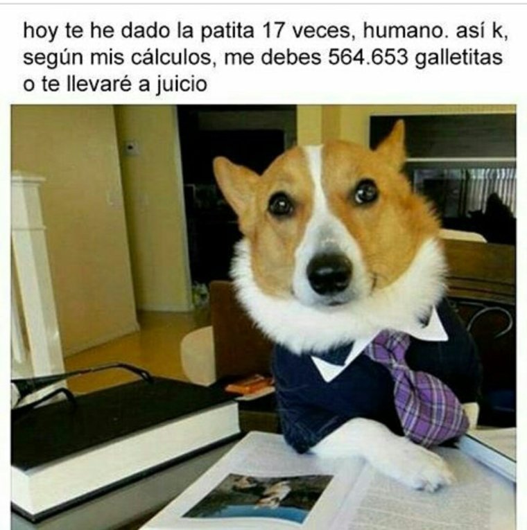 Демотиваторы про начальство