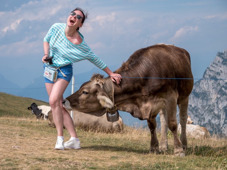 Фотосессия с коровой