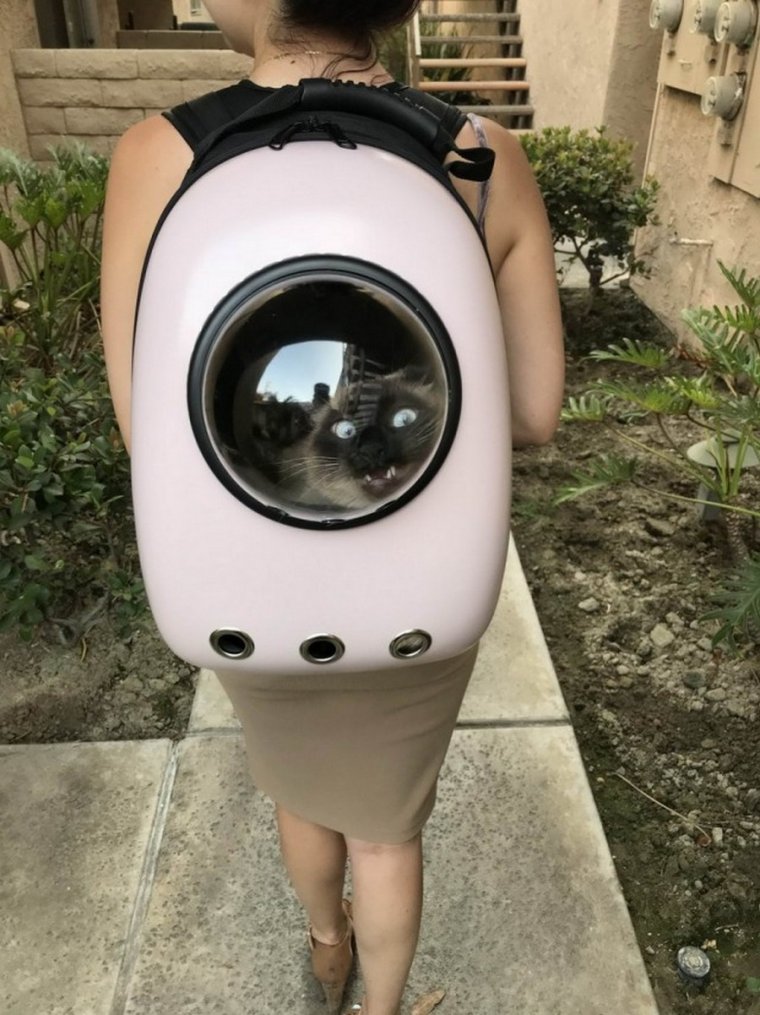 Самый большой рюкзак