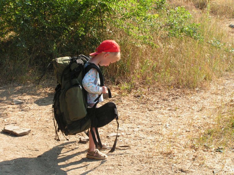 Рюкзак для переноски кошек с иллюминатором