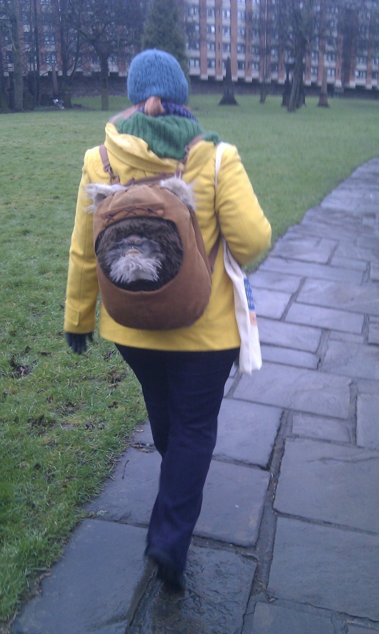 Прикольные портфели