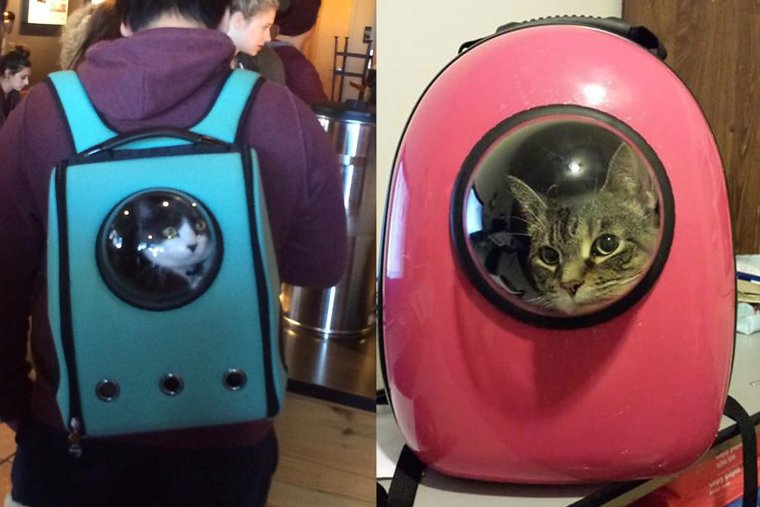 Прикольные приколюхи