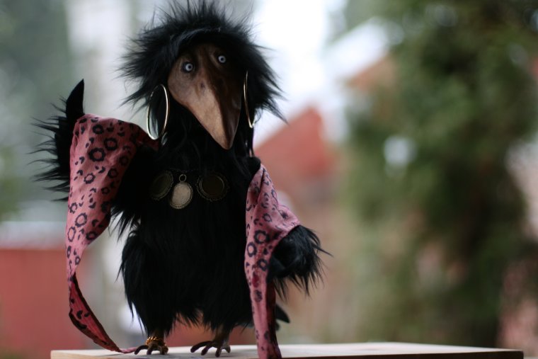 Растрепанная ворона