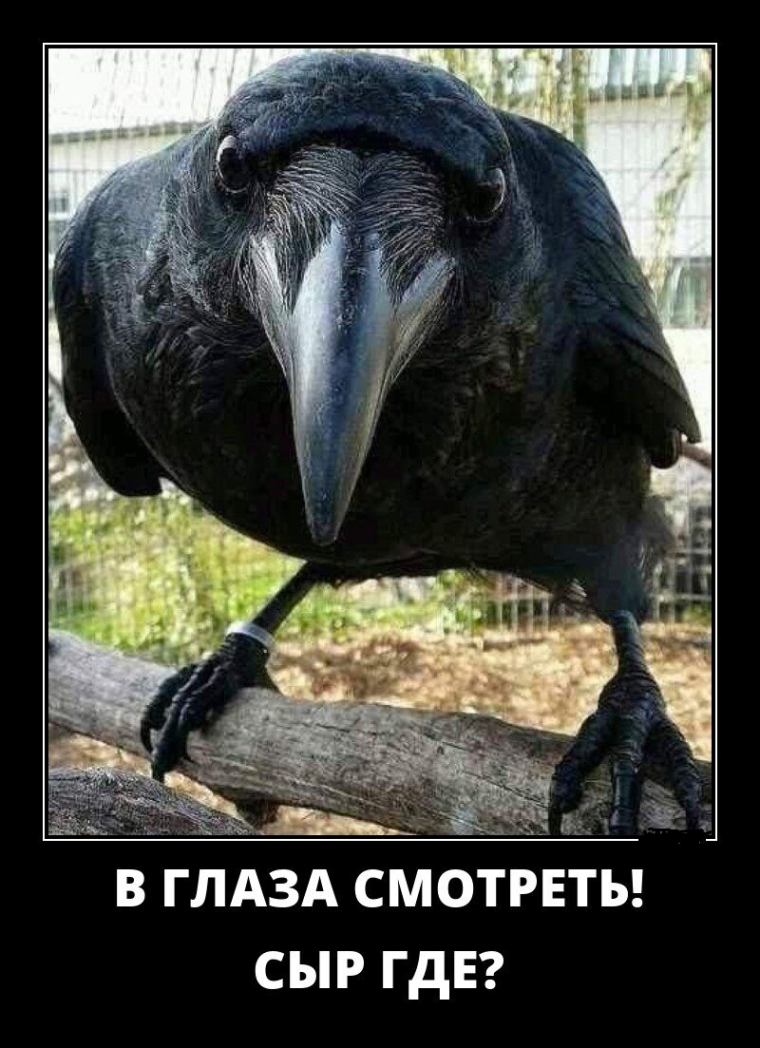 Давид Берёзкин