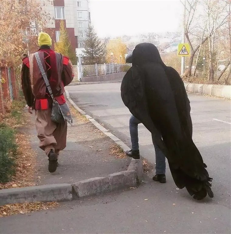Человек ворона смешной
