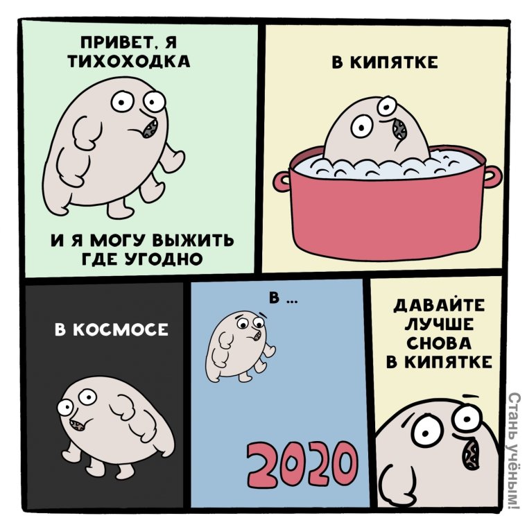 Тихоходка приколы