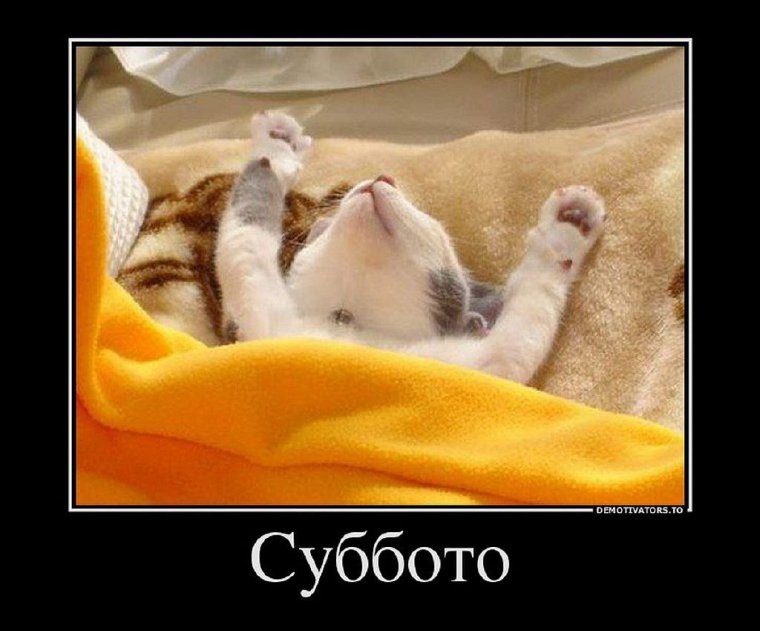 Воскресенье приколы