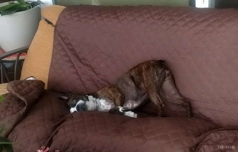 Утро воскресенья