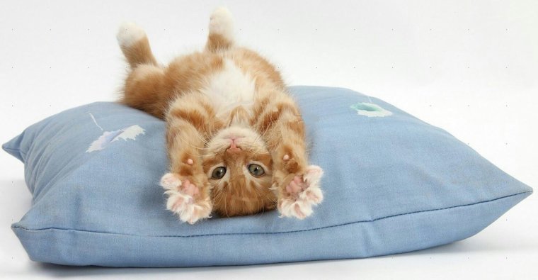 Утро воскресенья