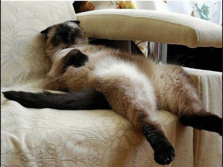 Открытки с добрым утром для поднятия настроения