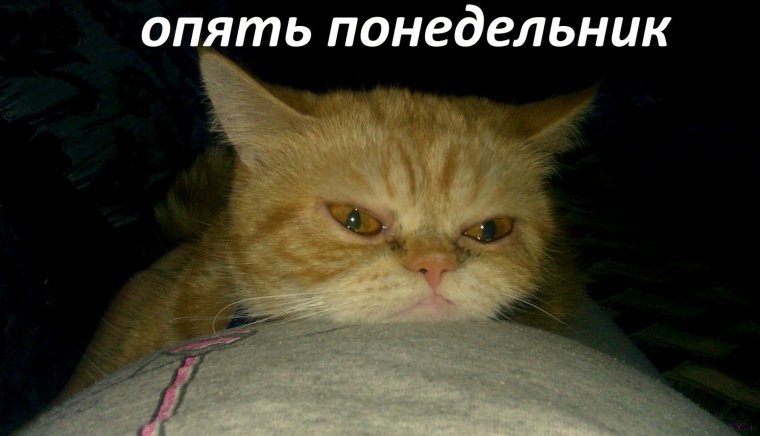 Воскресенье фото приколы