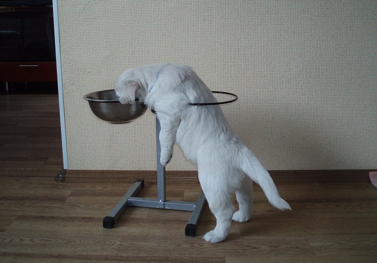 Воскресенье утро приколы