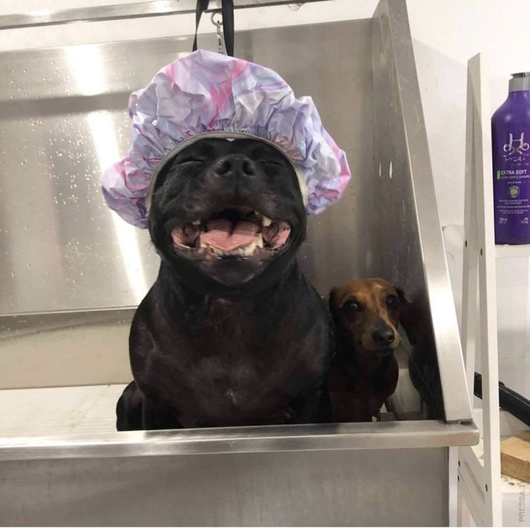 Открытки отличного воскресенья