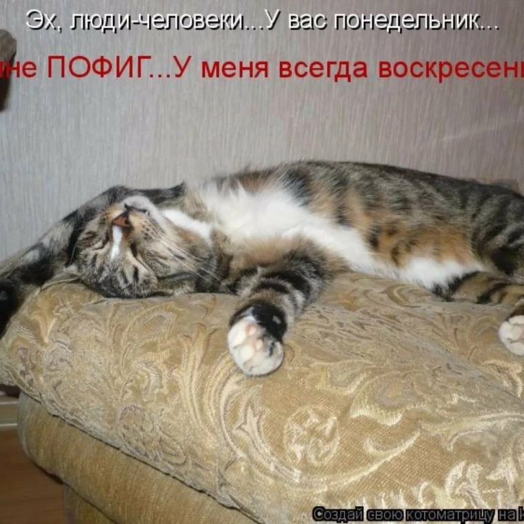 Воскресенье фото прикольное