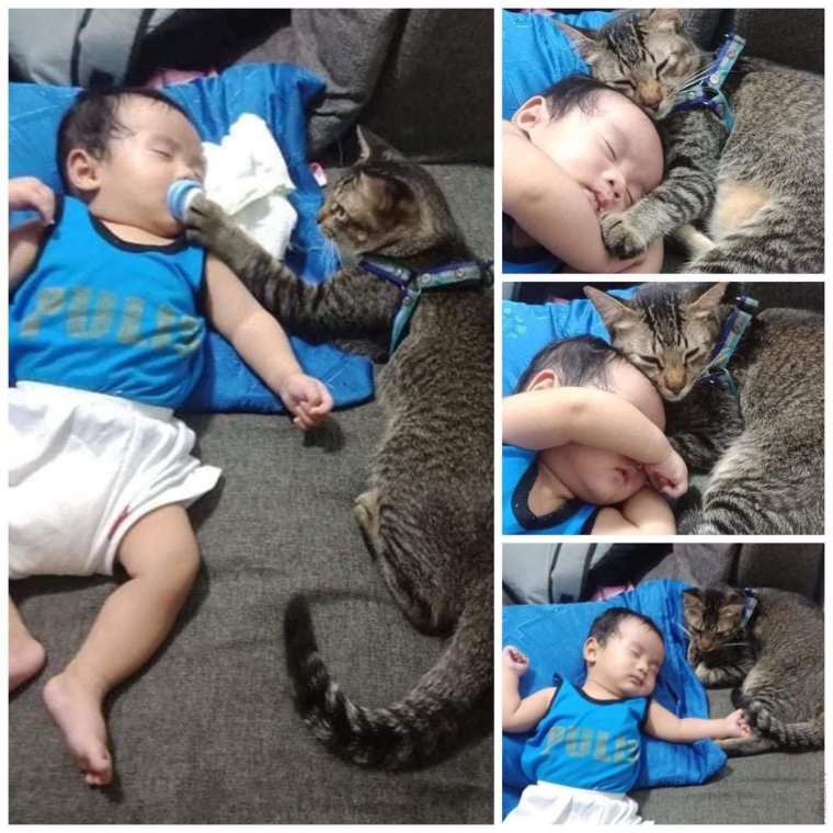 Доброго воскресного дня и хорошего настроения