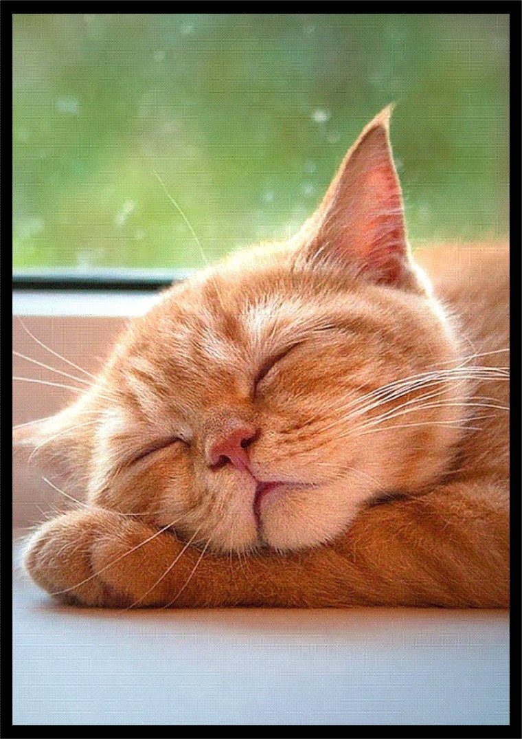 Утро воскресенья