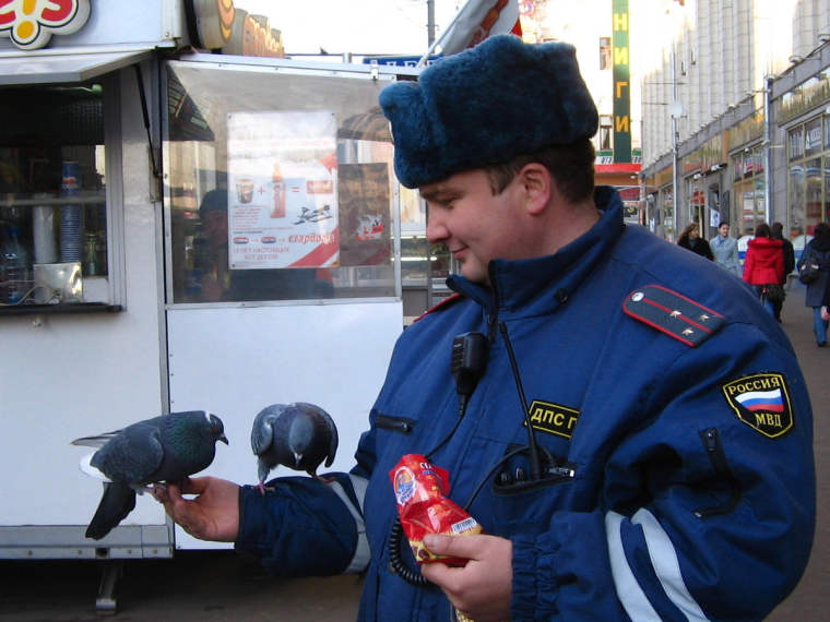 Полиция приколы