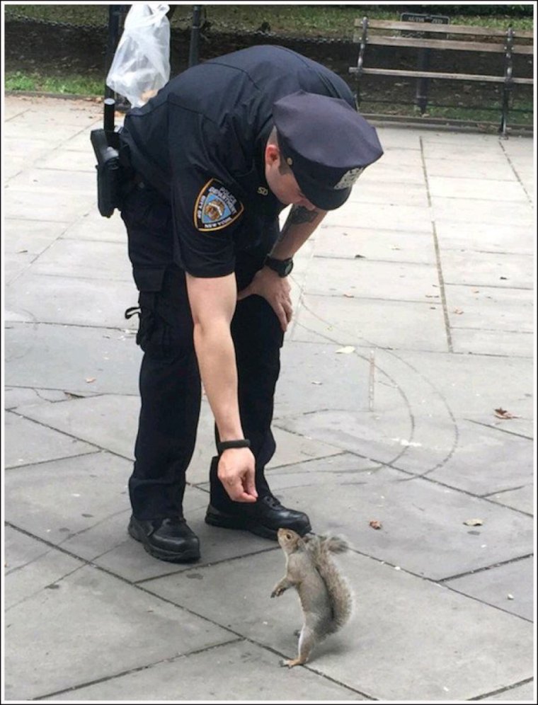 Забавный полицейский