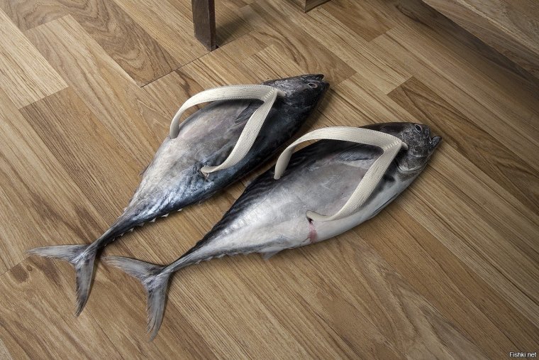 Тапки убогие