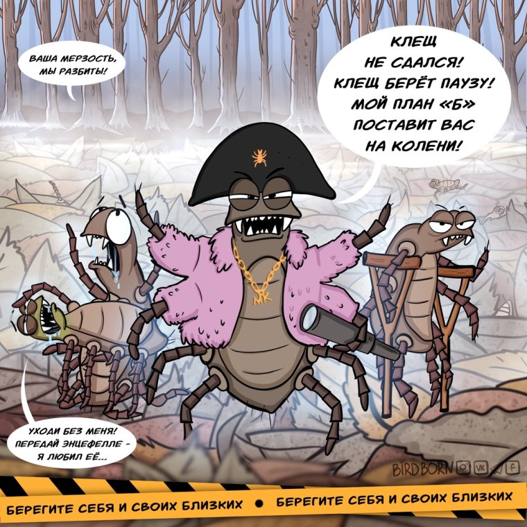 Клещевой энцефалит клещ