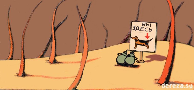 Методы борьбы с клещами