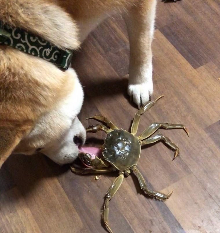 Прикольные надписи в лесу